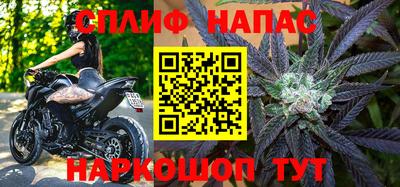 спиды Моздок